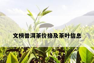 文榜普洱茶价格及茶叶信息