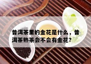 普洱茶里的金花是什么，普洱茶熟茶会不会有金花?