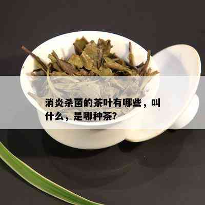 消炎杀菌的茶叶有哪些，叫什么，是哪种茶？