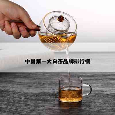 中国之一大白茶品牌排行榜