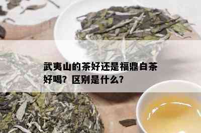 武夷山的茶好还是福鼎白茶好喝？区别是什么？