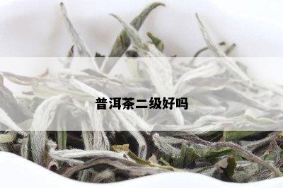 普洱茶二级好吗