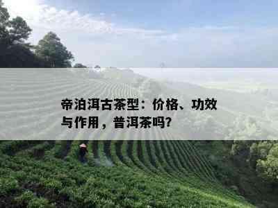 帝泊洱古茶型：价格、功效与作用，普洱茶吗？