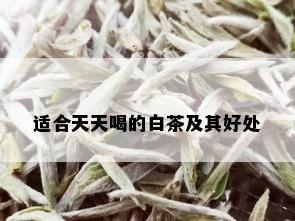 适合天天喝的白茶及其好处