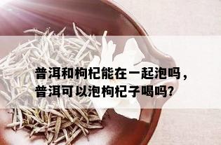 普洱和枸杞能在一起泡吗，普洱可以泡枸杞子喝吗？