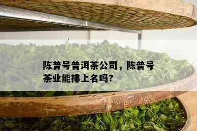 陈普号普洱茶公司，陈普号茶业能排上名吗?