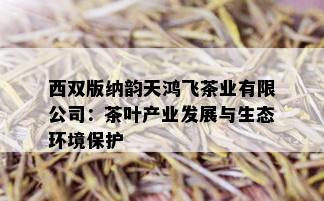 西双版纳韵天鸿飞茶业有限公司：茶叶产业发展与生态环境保护