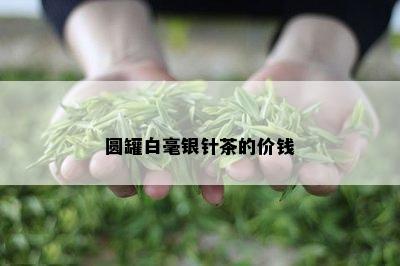 圆罐白毫银针茶的价钱