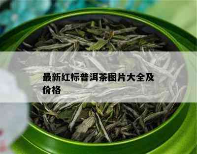 最新红标普洱茶图片大全及价格