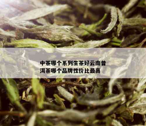 中茶哪个系列生茶好云南普洱茶哪个品牌性价比更高