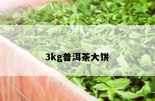 3kg普洱茶大饼