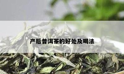 产后普洱茶的好处及喝法