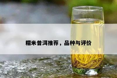 糯米普洱推荐，品种与评价