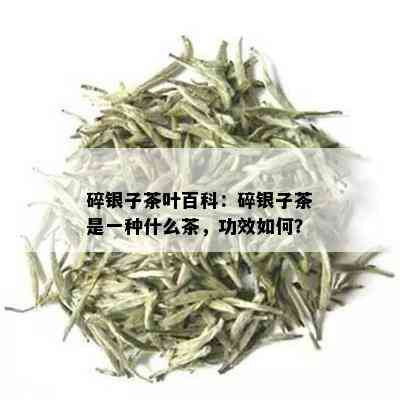 碎银子茶叶百科：碎银子茶是一种什么茶，功效如何？