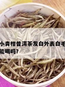 小青柑普洱茶发白外表白毛能喝吗？