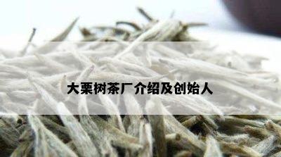 大栗树茶厂介绍及创始人