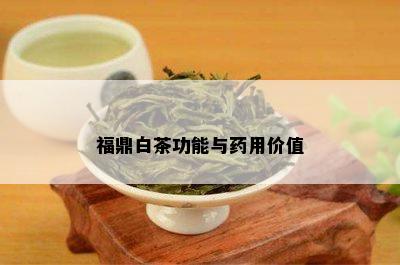 福鼎白茶功能与用价值