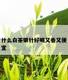 什么白茶银针好喝又香又便宜