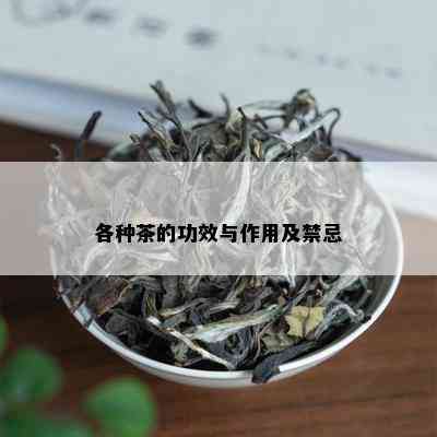 各种茶的功效与作用及禁忌