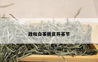 政和白茶脱贫开茶节