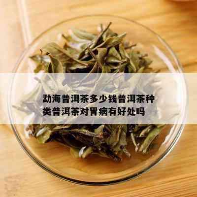 勐海普洱茶多少钱普洱茶种类普洱茶对胃病有好处吗