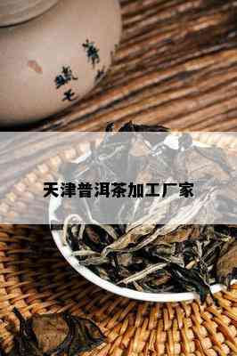 天津普洱茶加工厂家