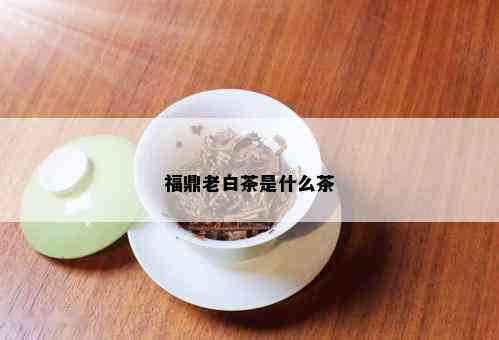 福鼎老白茶是什么茶