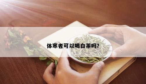 体寒者可以喝白茶吗？