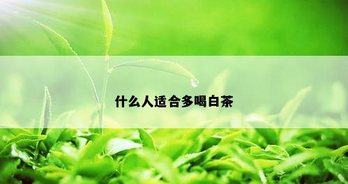 什么人适合多喝白茶