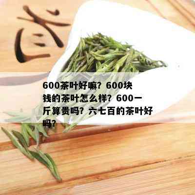 600茶叶好嘛？600块钱的茶叶怎么样？600一斤算贵吗？六七百的茶叶好吗？