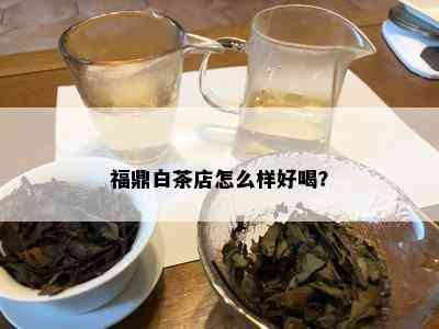 福鼎白茶店怎么样好喝？