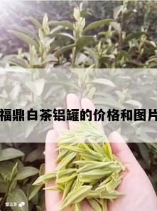 福鼎白茶铝罐的价格和图片