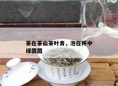 茶在茶山茶叶青，泡在杯中绿茵茵