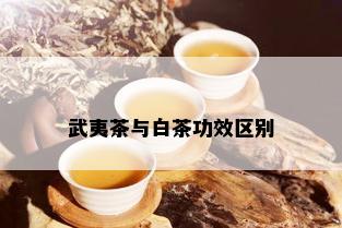 武夷茶与白茶功效区别