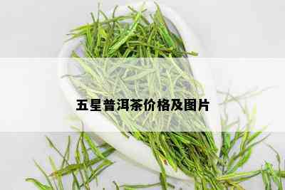 五星普洱茶价格及图片