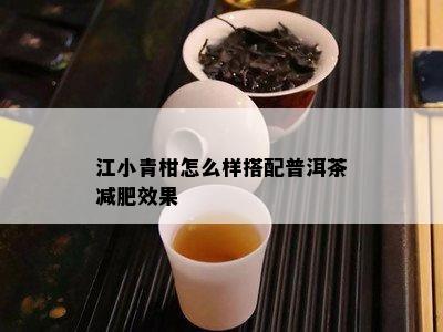 江小青柑怎么样搭配普洱茶减肥效果