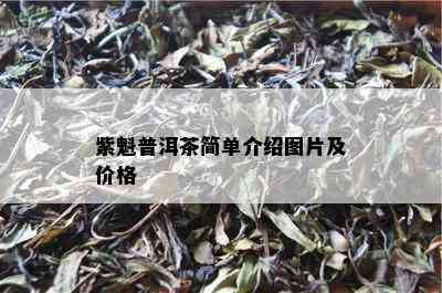 紫魁普洱茶简单介绍图片及价格