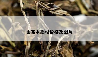 山茶木拐杖价格及图片