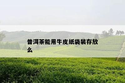 普洱茶能用牛皮纸袋装存放么