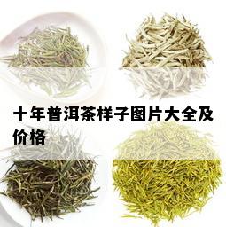 十年普洱茶样子图片大全及价格