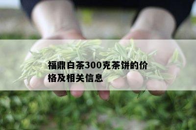 福鼎白茶300克茶饼的价格及相关信息