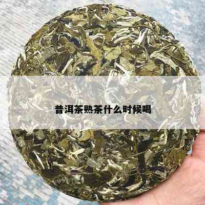 普洱茶熟茶什么时候喝