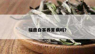 福鼎白茶养胃病吗？