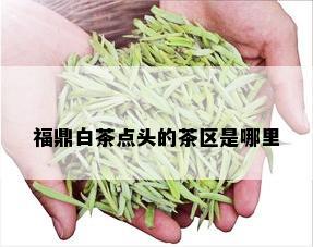 福鼎白茶点头的茶区是哪里