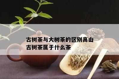 古树茶与大树茶的区别高山古树茶属于什么茶