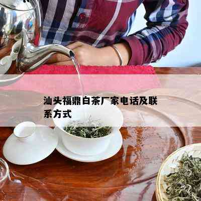 汕头福鼎白茶厂家电话及联系方式