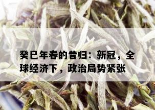 癸巳年春的昔归：新冠，全球经济下，政治局势紧张