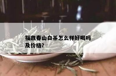 福鼎春山白茶怎么样好喝吗及价格？