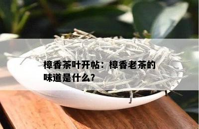 樟香茶叶开帖：樟香老茶的味道是什么？