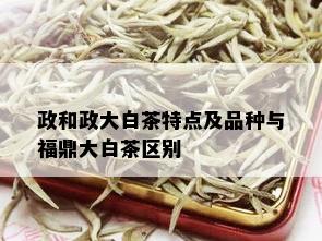 政和政大白茶特点及品种与福鼎大白茶区别